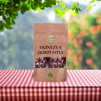 Ekinezya Kirpi Otu