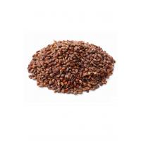Üzüm Çekirdeği 500gr
