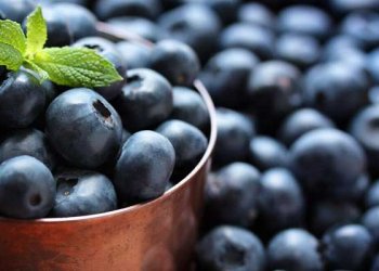 Acai Berry Nedir? Acai Üzümü Faydaları Nelerdir?