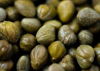 Kapari (Gebre Otu) Nedir? Kapari Bitkisi Faydaları Nelerdir?