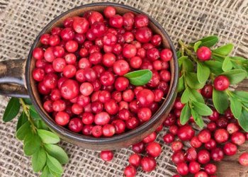 Kekreyemiş Nedir? Kekreyemiş Faydaları Nelerdir?