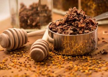 Propolis Nedir? Nasıl Kullanılır? Faydaları Nelerdir?