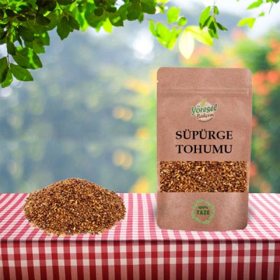 Süpürge Tohumu 100gr